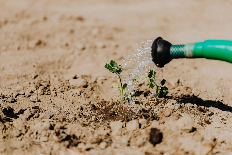 garden irrigation system