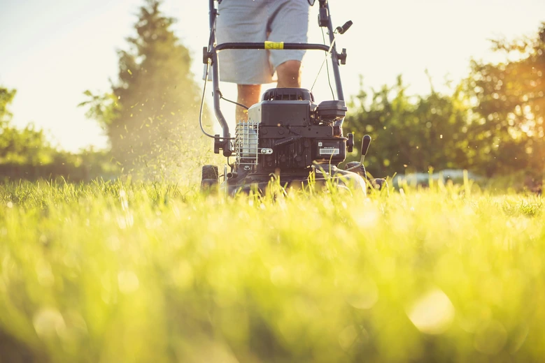 lawn mowing